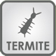 Diagnostic Termite